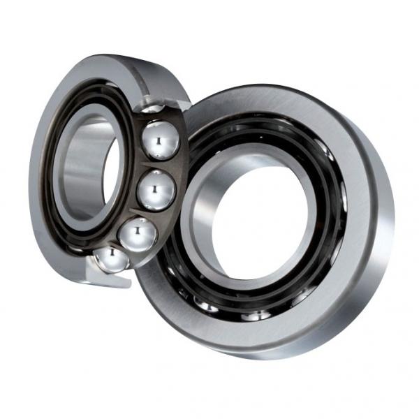 Deep groove ball bearing 6204DDU nsk japan bearing price list 6204-2RS #1 image